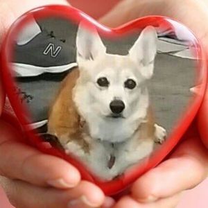 Meet your Posher, Marie